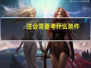 注会需要考什么条件