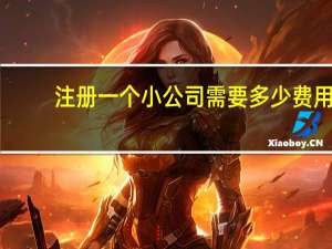 注册一个小公司需要多少费用