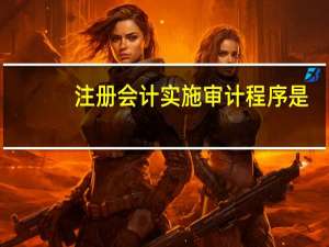 注册会计实施审计程序是