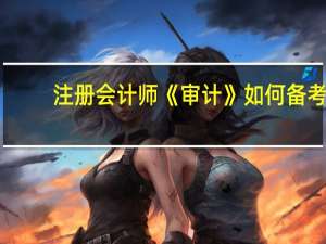 注册会计师《审计》如何备考