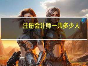 注册会计师一共多少人
