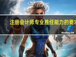 注册会计师专业胜任能力的要求