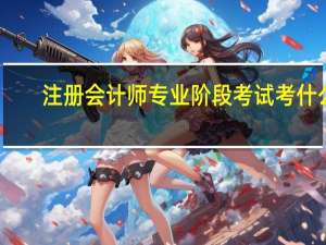 注册会计师专业阶段考试考什么