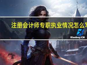 注册会计师专职执业情况怎么写