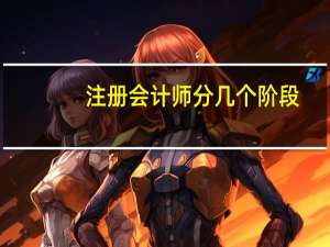 注册会计师分几个阶段