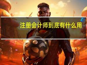 注册会计师到底有什么用