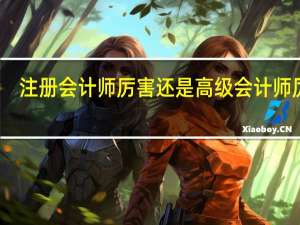 注册会计师厉害还是高级会计师厉害