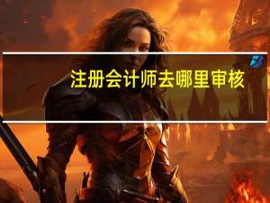 注册会计师去哪里审核