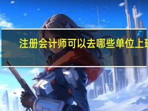注册会计师可以去哪些单位上班