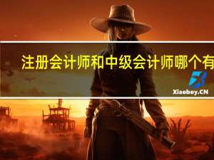 注册会计师和中级会计师哪个有用