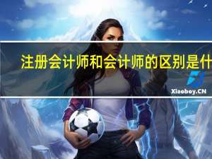 注册会计师和会计师的区别是什么