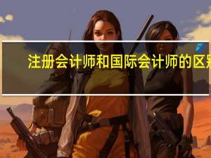 注册会计师和国际会计师的区别