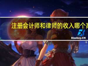 注册会计师和律师的收入哪个高