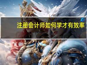 注册会计师如何学才有效率