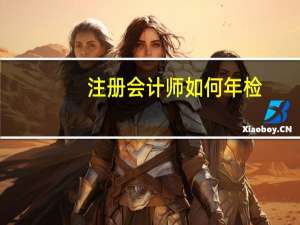 注册会计师如何年检