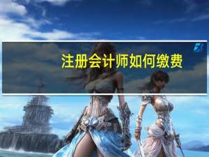 注册会计师如何缴费