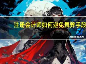 注册会计师如何避免舞弊手段