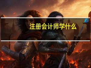 注册会计师学什么