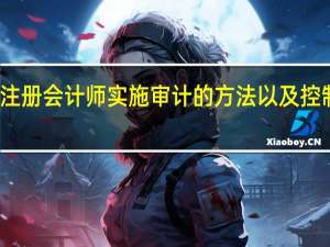 注册会计师实施审计的方法以及控制方法