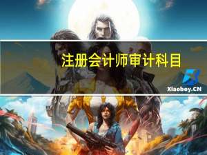 注册会计师审计科目