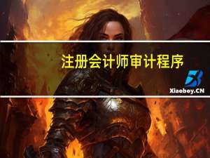 注册会计师审计程序
