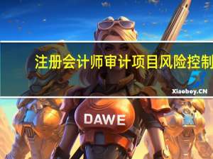 注册会计师审计项目风险控制