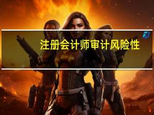 注册会计师审计风险性