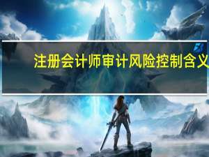 注册会计师审计风险控制含义