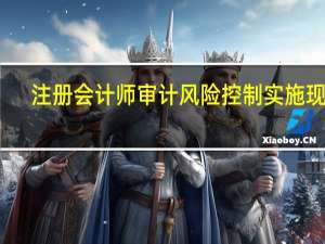 注册会计师审计风险控制实施现状