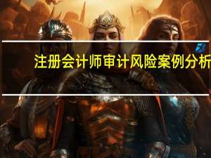 注册会计师审计风险案例分析