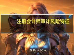 注册会计师审计风险特征