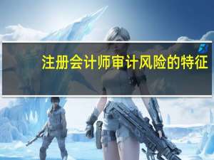 注册会计师审计风险的特征