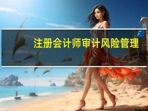 注册会计师审计风险管理