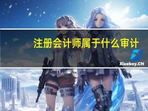 注册会计师属于什么审计