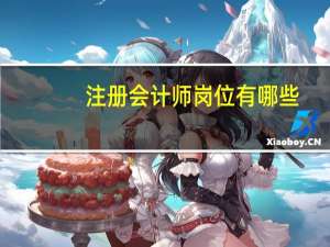 注册会计师岗位有哪些