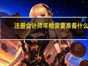 注册会计师年检需要准备什么