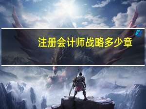 注册会计师战略多少章