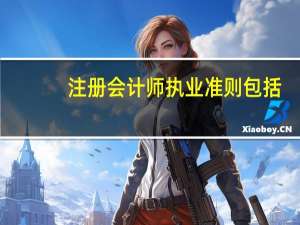 注册会计师执业准则包括