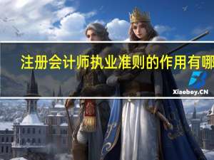 注册会计师执业准则的作用有哪些