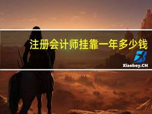 注册会计师挂靠一年多少钱