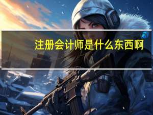 注册会计师是什么东西啊
