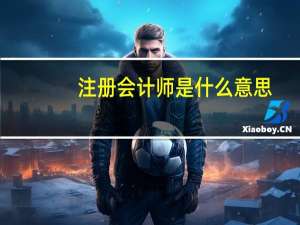 注册会计师是什么意思？