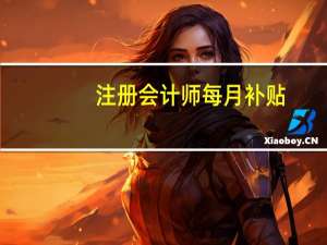 注册会计师每月补贴