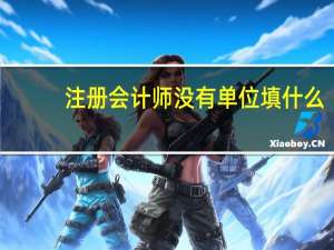 注册会计师没有单位填什么