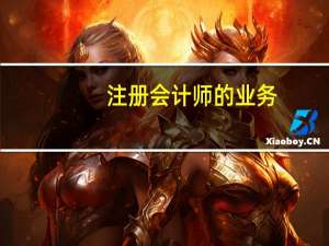 注册会计师的业务
