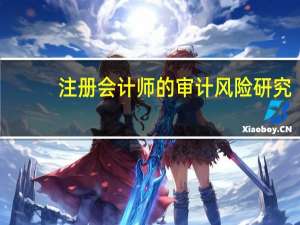 注册会计师的审计风险研究
