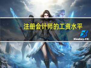 注册会计师的工资水平