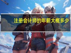 注册会计师的年薪大概多少