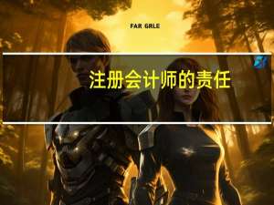 注册会计师的责任