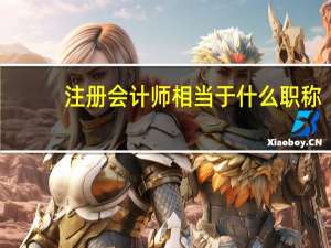 注册会计师相当于什么职称